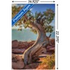 Trends International Beth Sheridan - Dead Horse Point Unframed Wall Poster Prints - 3 of 4