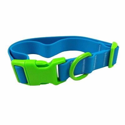 dog collar buckle vs clip