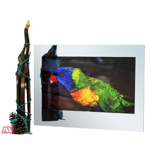 Parallel AV 32" Smart Waterproof Full HD Mirror TV - 1 of 4