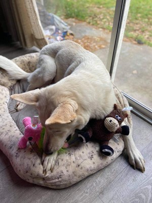 Guest review image 2 of 2, zoom in