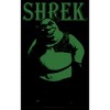 Boy's Shrek Standing Green Shrek T-Shirt - image 2 of 4