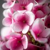Sullivans 31" Artificial Hydrangea Spray - 2 of 2