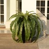 DR.Planzen Artificial Fern Plant in 15.7"/16'' Plastic Planter (3 Colors) - Faux Indoor/Outdoor Floor Plants Tall House Plant (Set of 2) - 4 of 4