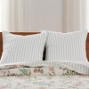 Chantae Euro Sham Set of 2 - Levtex Home - 4 of 4