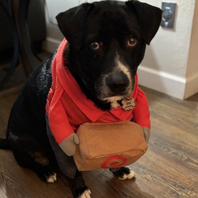 Guest review image 1 of 1, zoom in