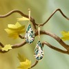 Ross-Simons Mother-Of-Pearl and Abalone Shell Dragonfly Mosaic Drop Earrings in 18kt Gold Over Sterling - 3 of 4