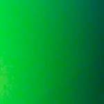 green lenses with black frame