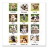 Puppies Monthly Wall Calendar, Puppies Photography, 15.5 x 22.75, White/Multicolor Sheets, 12-Month (Jan to Dec): 2026 - 3 of 4