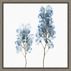 Amanti Art Blue Flower still life with white background by Savanah Plank Danita Delimont Canvas Wall Art Print Framed 16 x 16-in. - 1 of 4