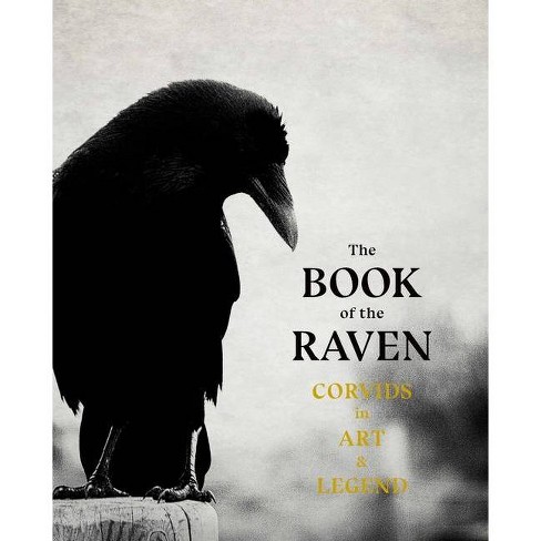 TARGET Sketch Book - Raven - (Sketch Books) by Graphic Arts Books