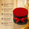 Moss Heart Petite 50 Preserved Roses – Eternal Flowers in Round Gift Box, Romantic Décor Gift, Red - 3 of 4