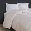 Down Comforter Heavy Warmth Oversized Box Quilted for Winter Down-Proof Microfiber with Goose Feather & Down Fill - 2 of 4