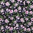 black pink flower