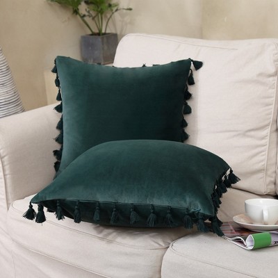 2 Pieces Tassels Velvet Throw Pillow Covers