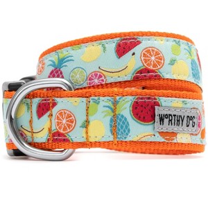 The Worthy Dog Tutti Frutti Adjustable Dog Collar - 1 of 4