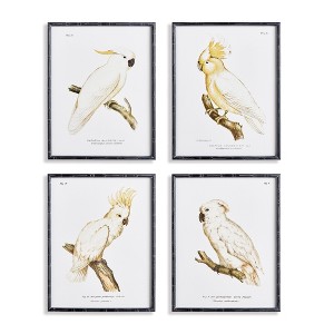 Plum & Post 21.5"W x 1.25"D x 27.5"H Parrot Study In White Framed Wall Art Set of 4 - 1 of 3