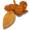 Faux Foliage Magnolia Leaf - Bullseye's Playground™ - 4 of 4