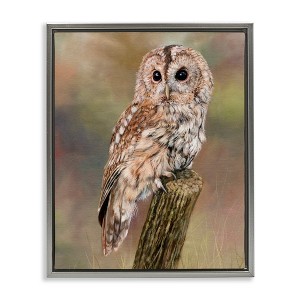 Stupell Industries Brown Tawny Owl Perched Intricate Woodland Wildlife Painting Floating Frame Canvas Art, Gray, 17" x 21" - 1 of 4