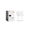 6.8oz 4pk Crystal Experience Port Wine Glasses - Stolzle Lausitz