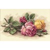 Dimensions Counted Cross Stitch Kit 14"X9"-Rose Cuttings - 2 of 2