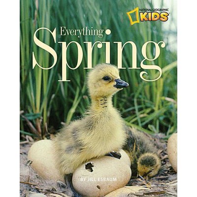 Everything Spring - (Picture the Seasons) by  Jill Esbaum (Paperback)