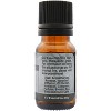 Plantlife Star Anise Aromatherapy Essential Oil – 100% Pure, Therapeutic Grade, No Additives or Fillers, Natural and Fresh, 10 ml - 2 of 3