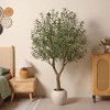 Dr.Planzen 6ft Artificial Olive Tree in White Planter - Faux Olive Tree for Indoor/Outdoor Decor, Fake Plant with Realistic Green Branches - 3 of 4