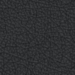 oregon state beavers