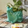 tag Frog Planter - 2 of 2