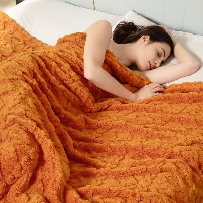 Attop Cozy Soft Lightweight Fuzzy Throw Blanket for Women Portable Throw Blankets for Couch