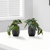 GlasFlength Artificial Plants Small Fake Plants Artificial Grass Plants Faux Plants for Indoor Home Table Decoration, Green, 8"*7"*8" - 2 of 4