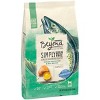 Purina Beyond Simply Grain Free Probiotics Ocean White Fish & Egg Recipe Adult Premium Dry Cat Food - image 4 of 4