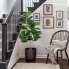 Artificial Tree,Faux Fiddle Leaf Fig Tree,4ft Tall Ficus Tree Artificial for Home Decor,Fake Lyrata Fig Plants Green Tree with Pot for Indoor Outdoor - 3 of 4