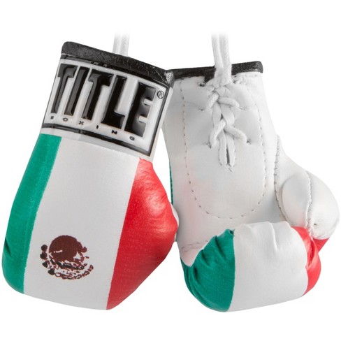 Cleto Reyes Hook And Loop Leather Training Boxing Gloves - Blue/silver :  Target