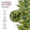 Pre-Lit Cedar Cypress Christmas Garland w/ Twinkling LEDs, Realistic Indoor Holiday Decor for Door, Mantle, Battery - 4 of 4