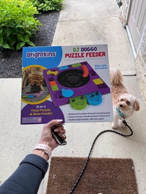 Brightkins DJ Doggo Puzzle Feeder - Dog Toy Treat Dispenser, Multi-color  Jigsaw for Puppy Enrichment & Birthdays