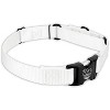 Country Brook Petz Heavyduty Nylon Martingale with Premium Buckle - 4 of 4