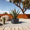 Anybear 15.5x12in Black Round Steel Raised Garden Bed - 3 of 4