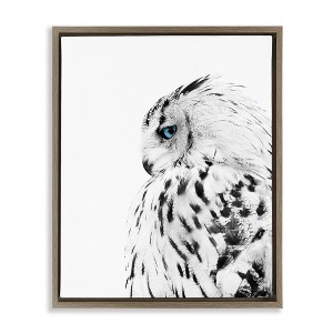 Stupell Industries Snow Owl Peering Blue Eyes Floating Frame Canvas Art - 1 of 4
