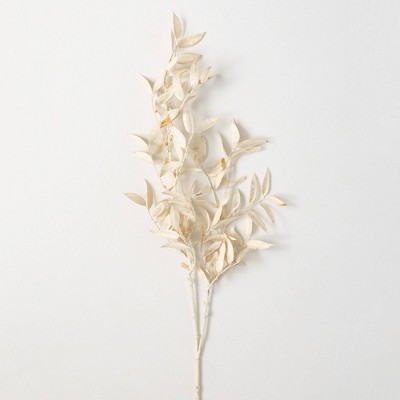 39"H Sullivans Cream Ruscus Branch, Cream