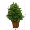 Nearly Natural 23-in Sweet Grass Artificial Plant in Basket (Indoor/Outdoor) - 2 of 3