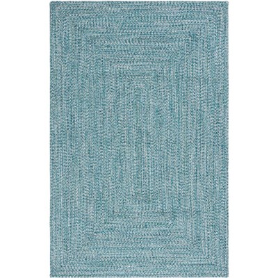 Braided Bra201 Hand Woven Area Rug - Dark Blue/ivory - 6'x9' Oval -  Safavieh : Target