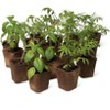 Gardener's Supply Company Biodegradable Square Pots 3-1/2” | Wood Fiber Seed Starting Pots Plant Right into Garden for Easy Outdoor Transplanting- Set - 2 of 3