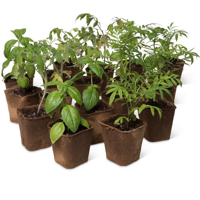 Gardener's Supply Company Biodegradable Square Pots 3-1/2” | Wood Fiber Seed Starting Pots Plant Right into Garden for Easy Outdoor Transplanting- Set, 2 of 4