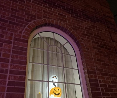 Guest review image 1 of 1, zoom in