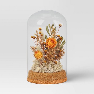 Small Preserved Cloche - Threshold™