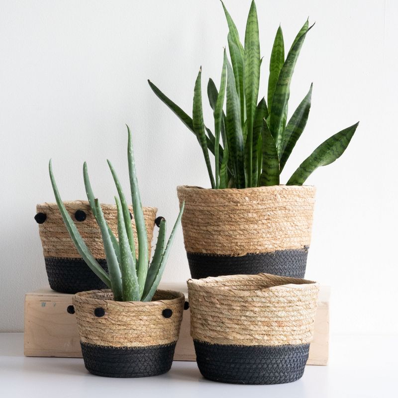 Set of 2 Natural Cattail Decorative Storage Baskets with Pom Poms - Foreside Home & Garden, 3 of 6