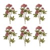 Sedum Succulent Spray (Set of 6) - 2 of 4