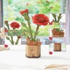 Robotime 3D Puzzles Carnation DIY Model Building Kits Artifical Flower Toys Thanksgiving Mother's Day Valentine's Day, Multicolored, 9.65"*6.5"*1.65" - 4 of 4