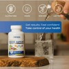 Premium Immune Support | Palmara Health - 4 of 4